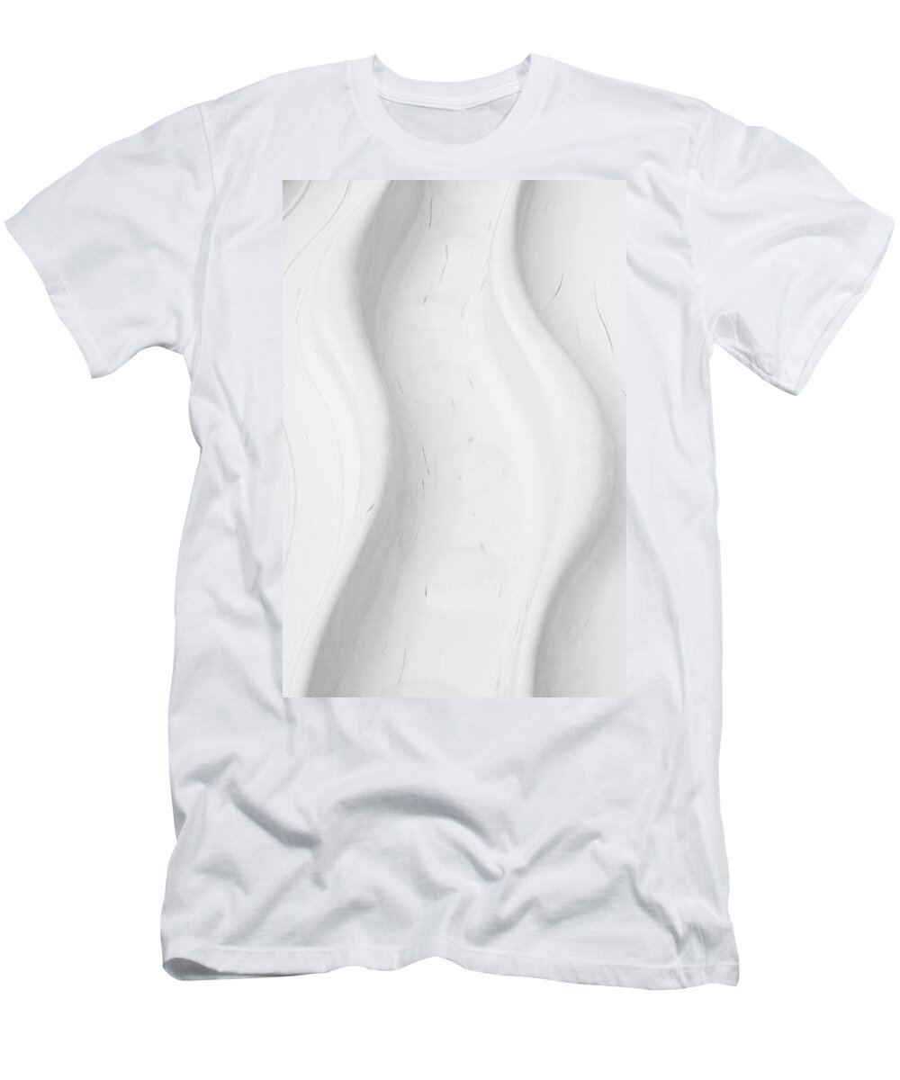 Abstracts T-Shirt featuring the photograph Slide by Richard Rizzo