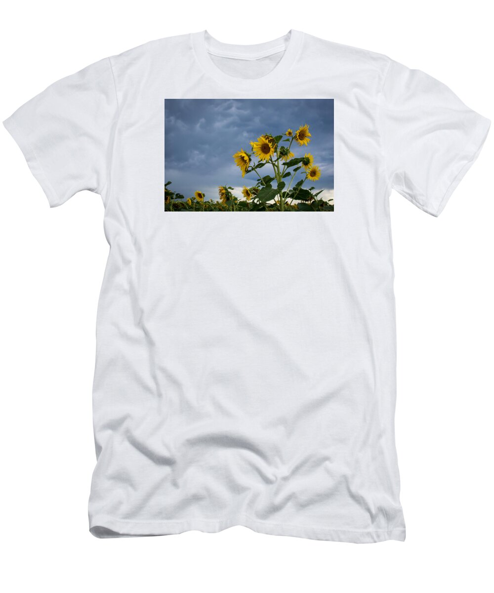 Sunflowers T-Shirt featuring the photograph Small Sunflowers by Stephen Holst