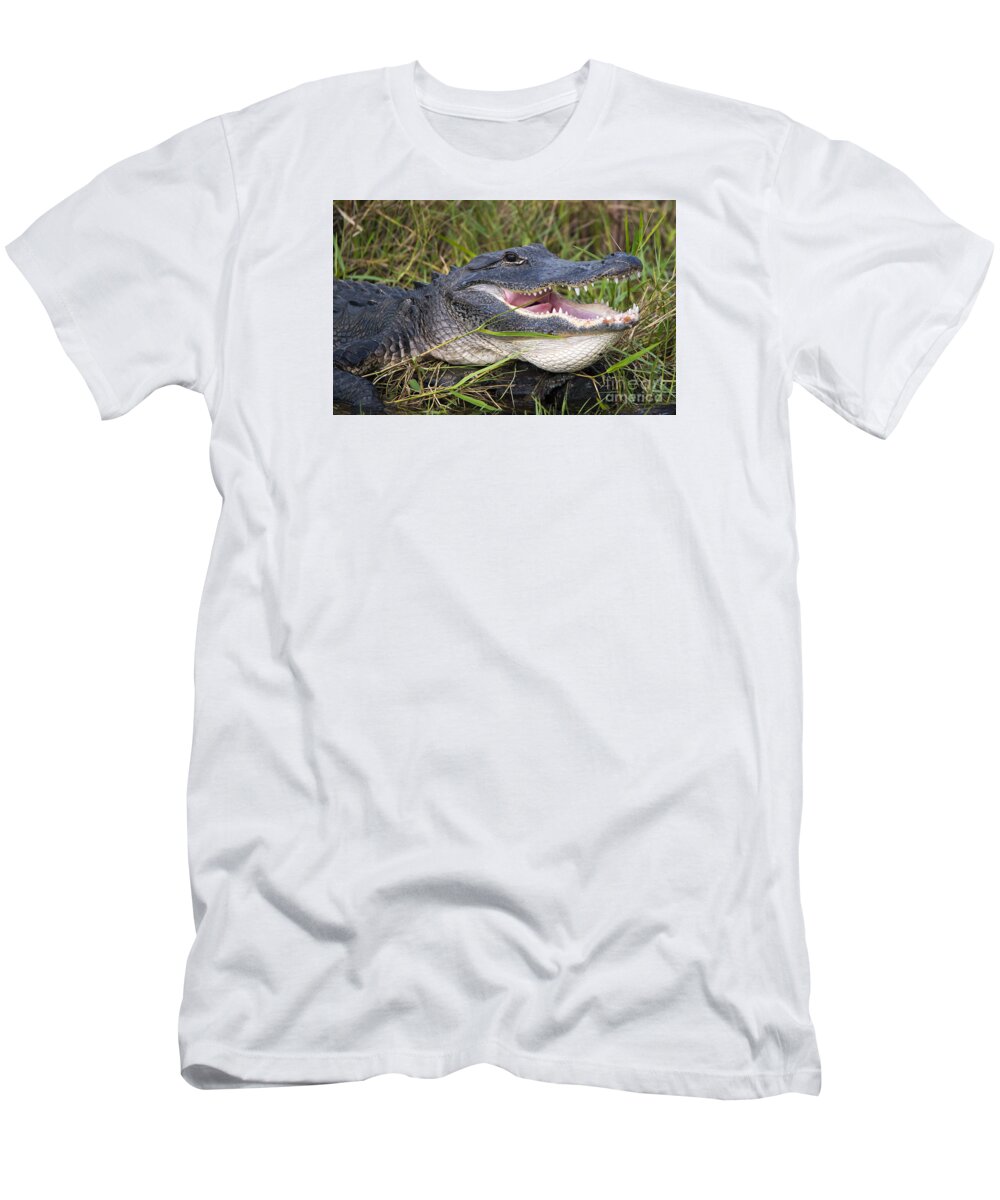 Alligator Mississippiensis T-Shirt featuring the photograph Smile by Michael Dawson