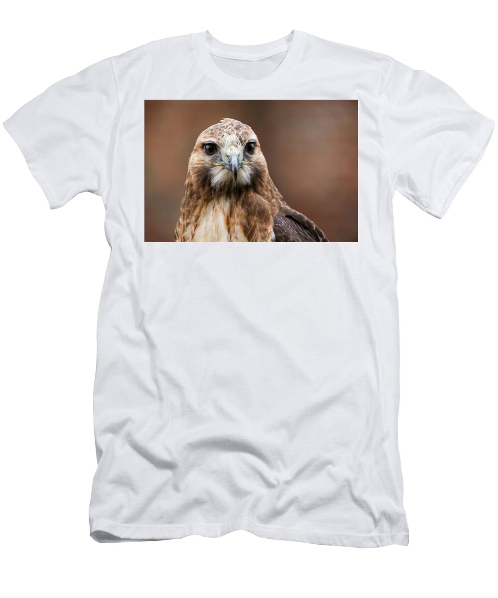 Animals T-Shirt featuring the photograph Smiling Bird of Prey by Dennis Dame