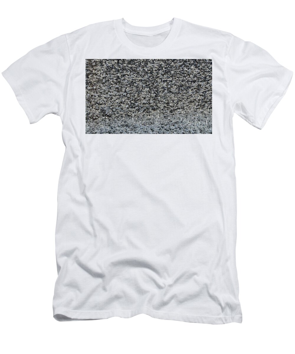 Snow Geese T-Shirt featuring the photograph Snowing Geese by Elizabeth Winter