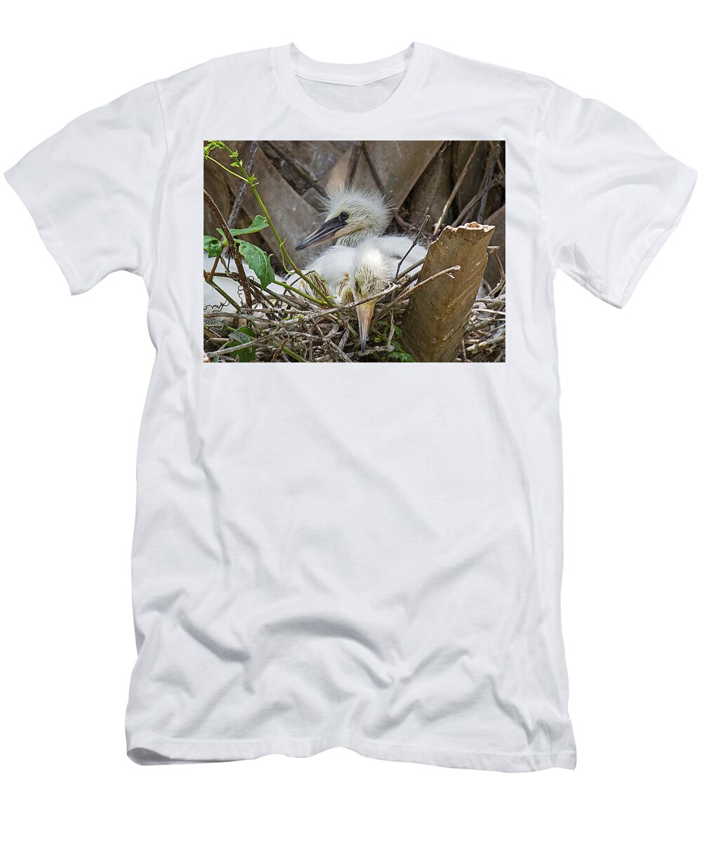 Wildlife T-Shirt featuring the photograph Snowy Egret Chick Family by Kenneth Albin