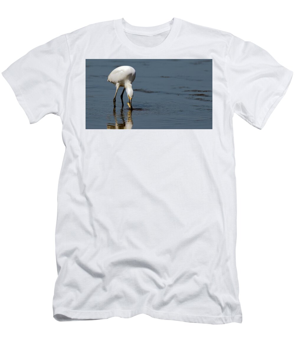 Snowy Egret T-Shirt featuring the photograph Snowy Egret fishing by Sam Rino