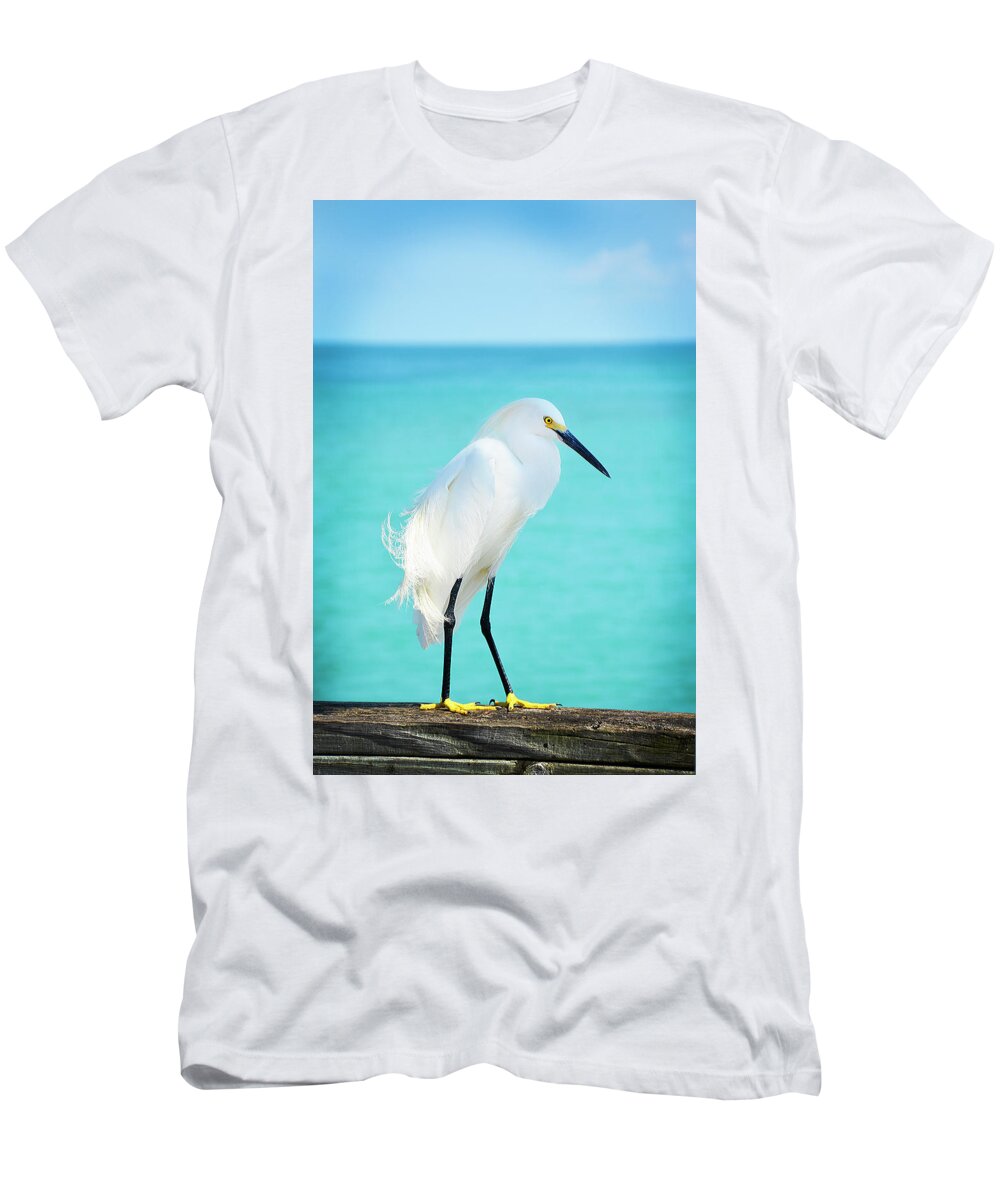 Bird T-Shirt featuring the photograph Snowy Egret by Jennifer Wright