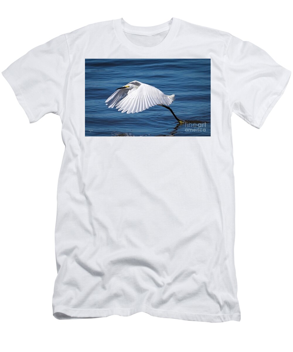 Egret T-Shirt featuring the photograph Snowy Liftoff by DB Hayes
