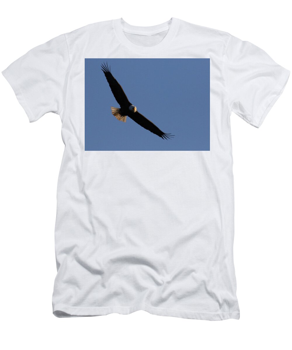 Eagle T-Shirt featuring the photograph Soaring Eagle by Brook Burling