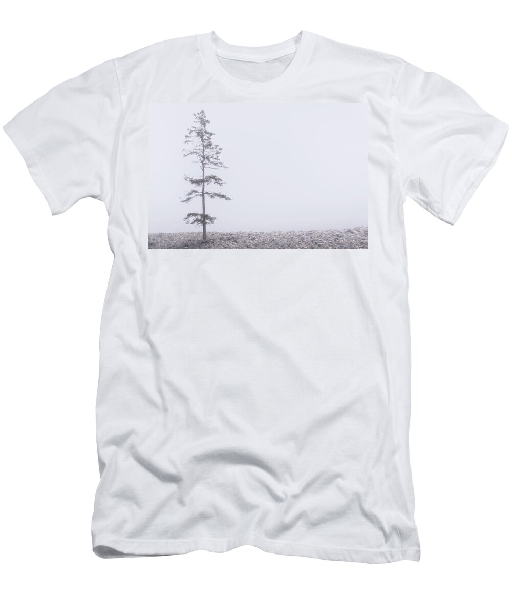 Tree T-Shirt featuring the photograph Solitary by Holly Ross
