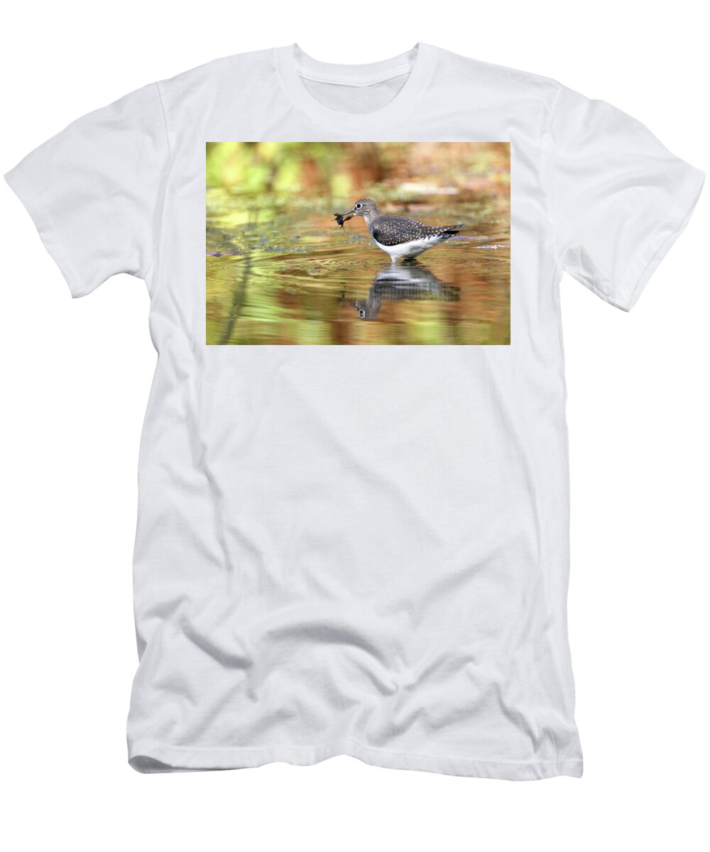 Solitary Sandpiper T-Shirt featuring the photograph Solitary Sandpiper with Belostomatide by Brook Burling