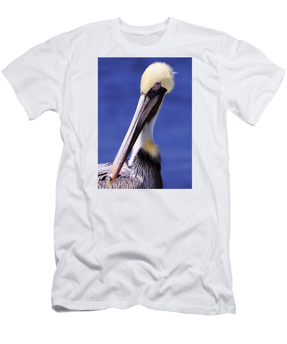 Southport T-Shirt featuring the photograph Southport Pelican by Nick Noble