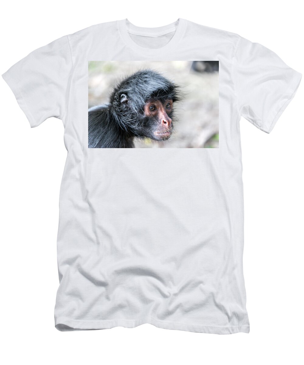 Spider T-Shirt featuring the photograph Spider Monkey Face Closeup by Jess Kraft