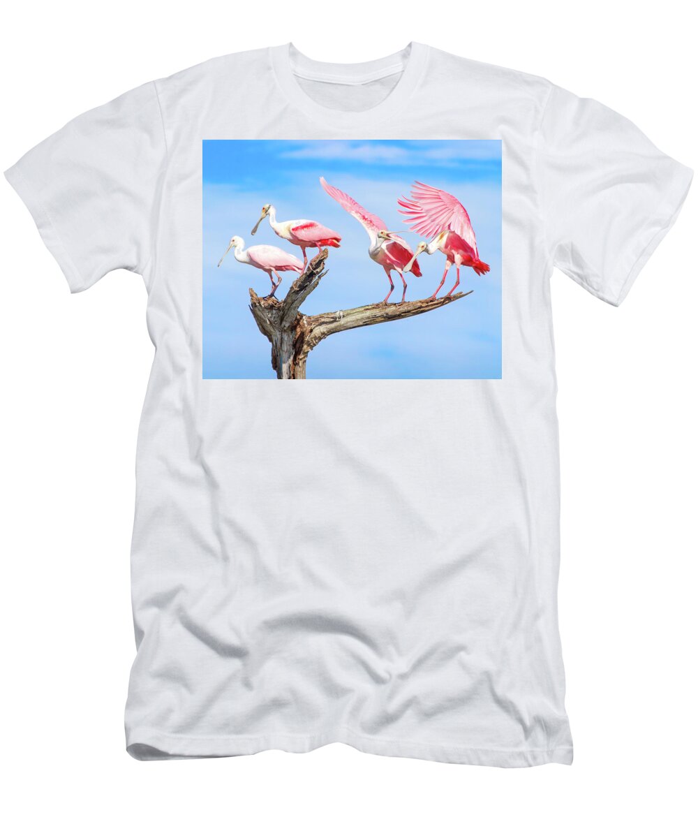 Roseate Spoonbill T-Shirt featuring the photograph Spoonbill Party by Mark Andrew Thomas