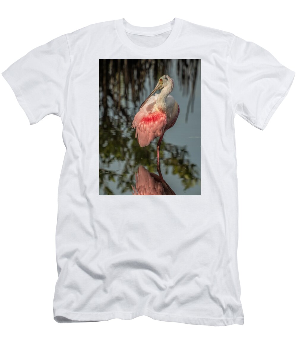 Spoonbill T-Shirt featuring the photograph Spoonbill Resting by Dorothy Cunningham