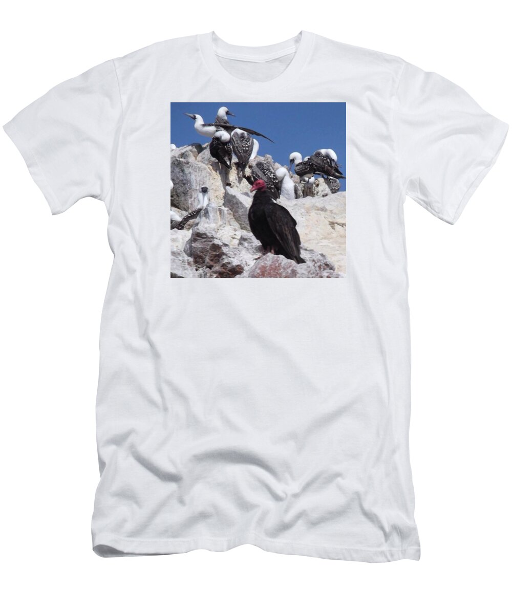 Flashback T-Shirt featuring the photograph Turkey Vulture by Charlotte Cooper