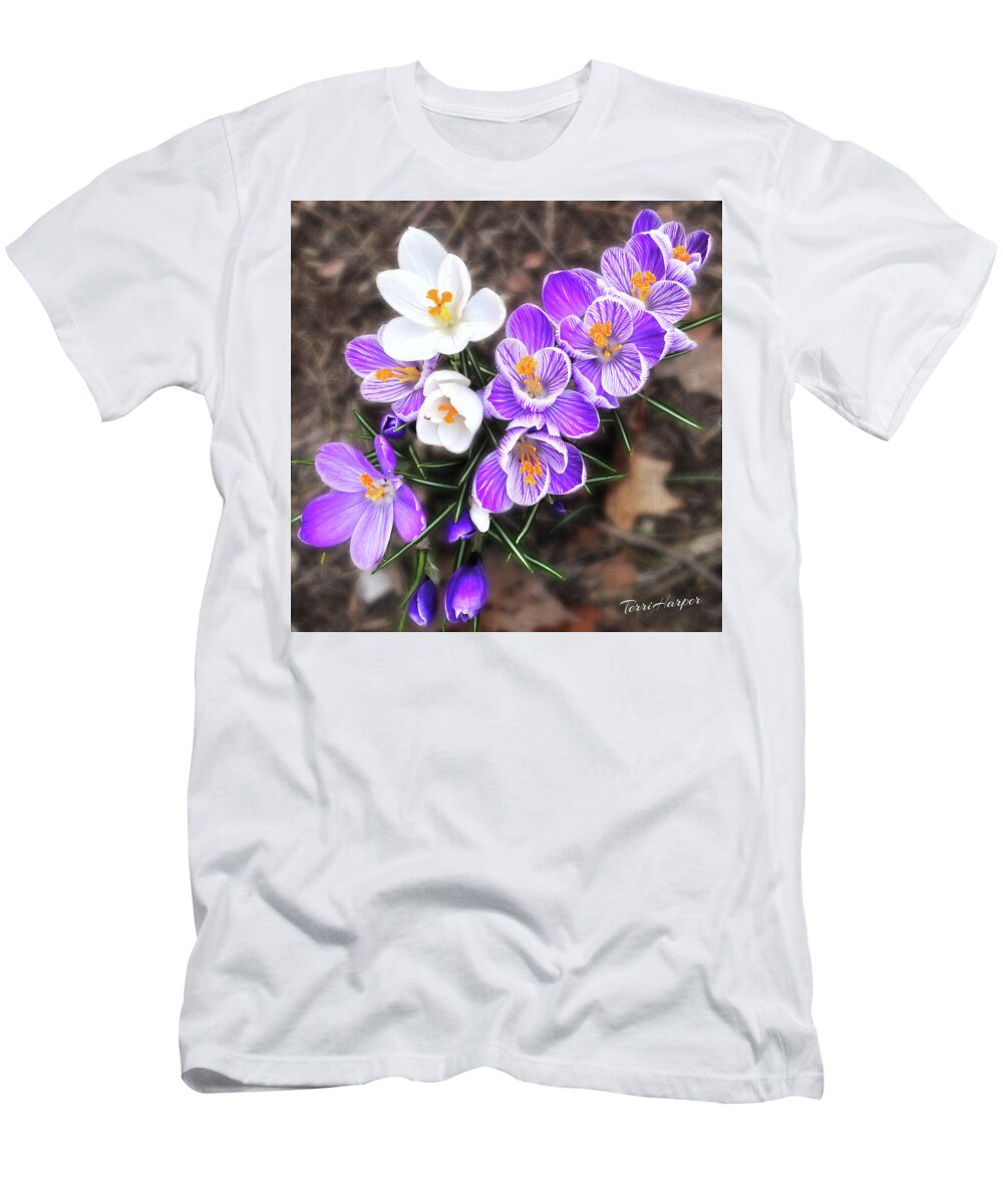 Crocus T-Shirt featuring the photograph Spring Beauties by Terri Harper