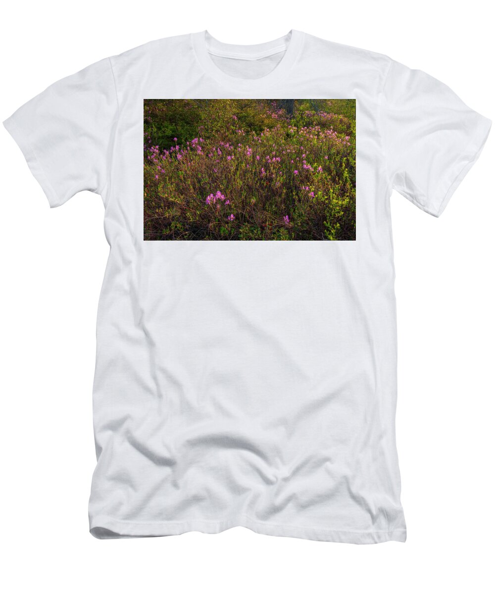 Blue Mountain- Birch Cove Lakes Wilderness Area T-Shirt featuring the photograph Spring Rhodora Blossoms Near Susies Lake by Irwin Barrett