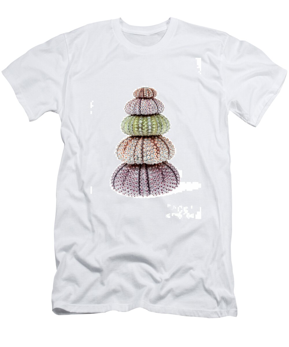 Sea Urchin T-Shirt featuring the photograph Stack of sea urchins by Elena Elisseeva
