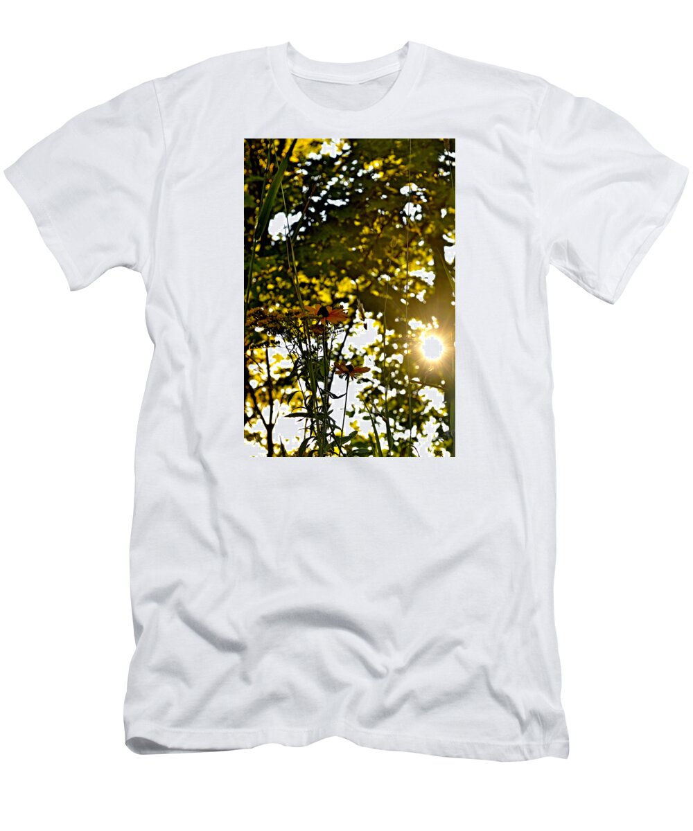 Fall T-Shirt featuring the photograph Stand Still by Donna Petersen