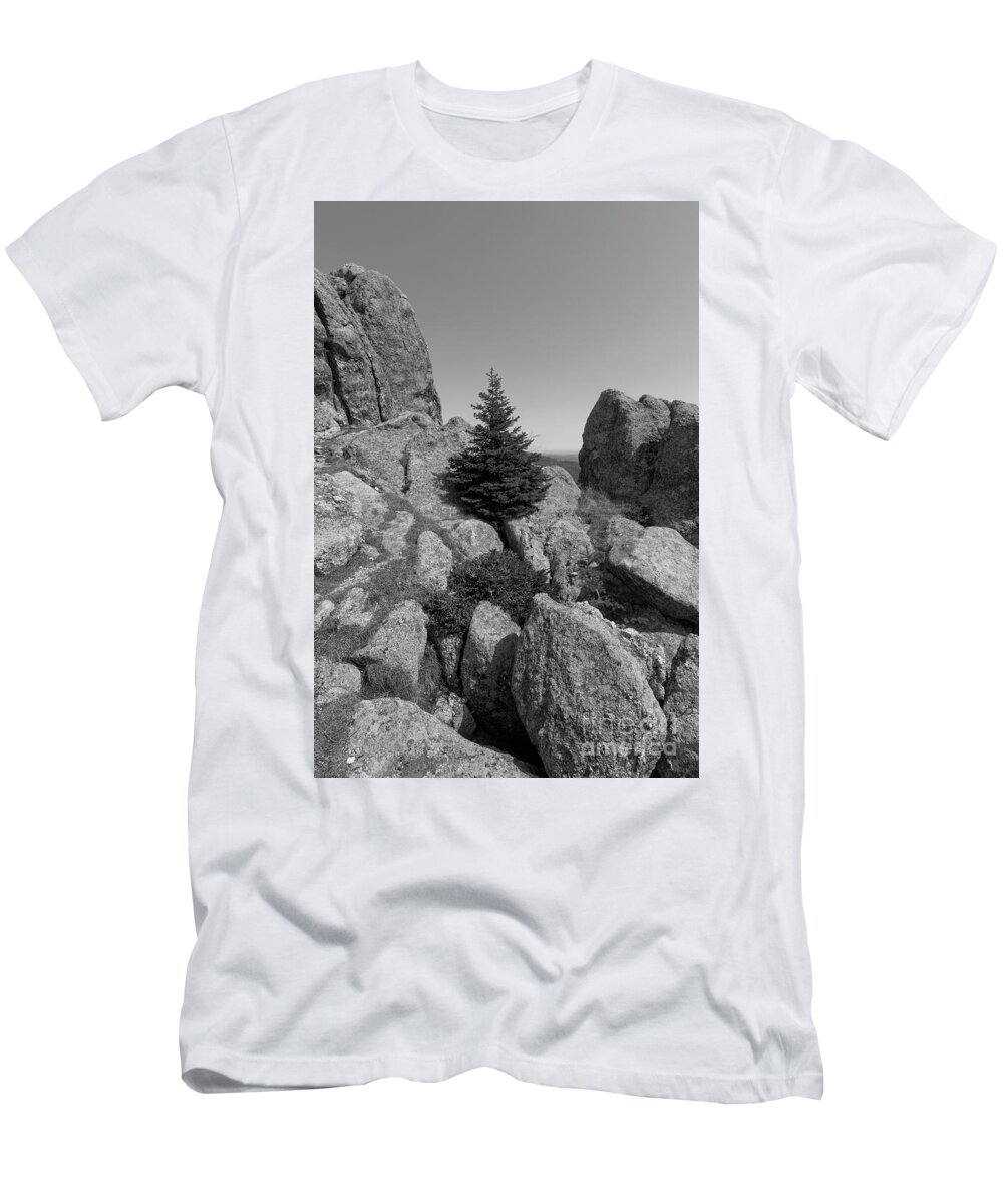 Tree T-Shirt featuring the photograph Standing Watch by Steve Triplett