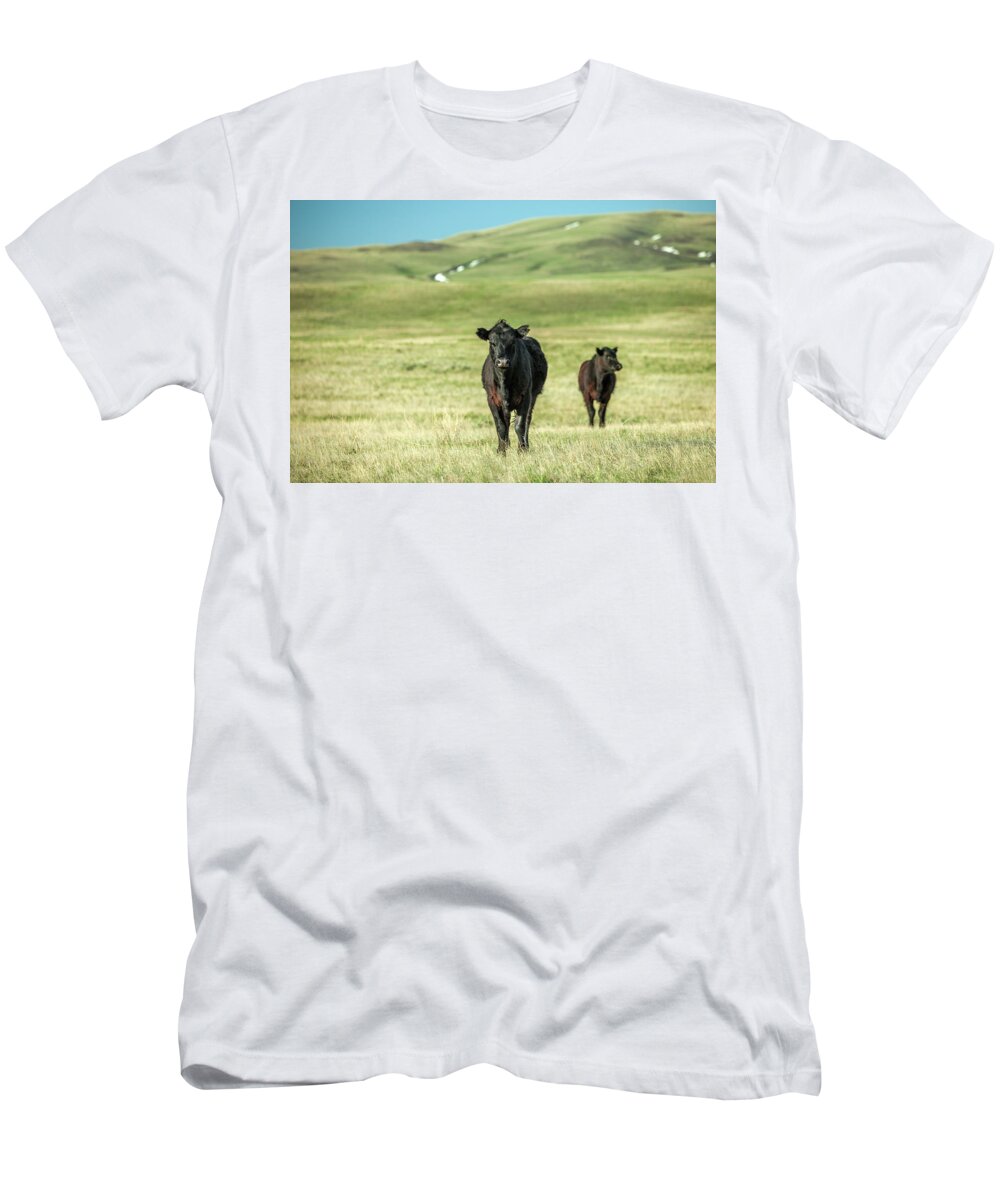 Black Angus T-Shirt featuring the photograph Standoff by Todd Klassy