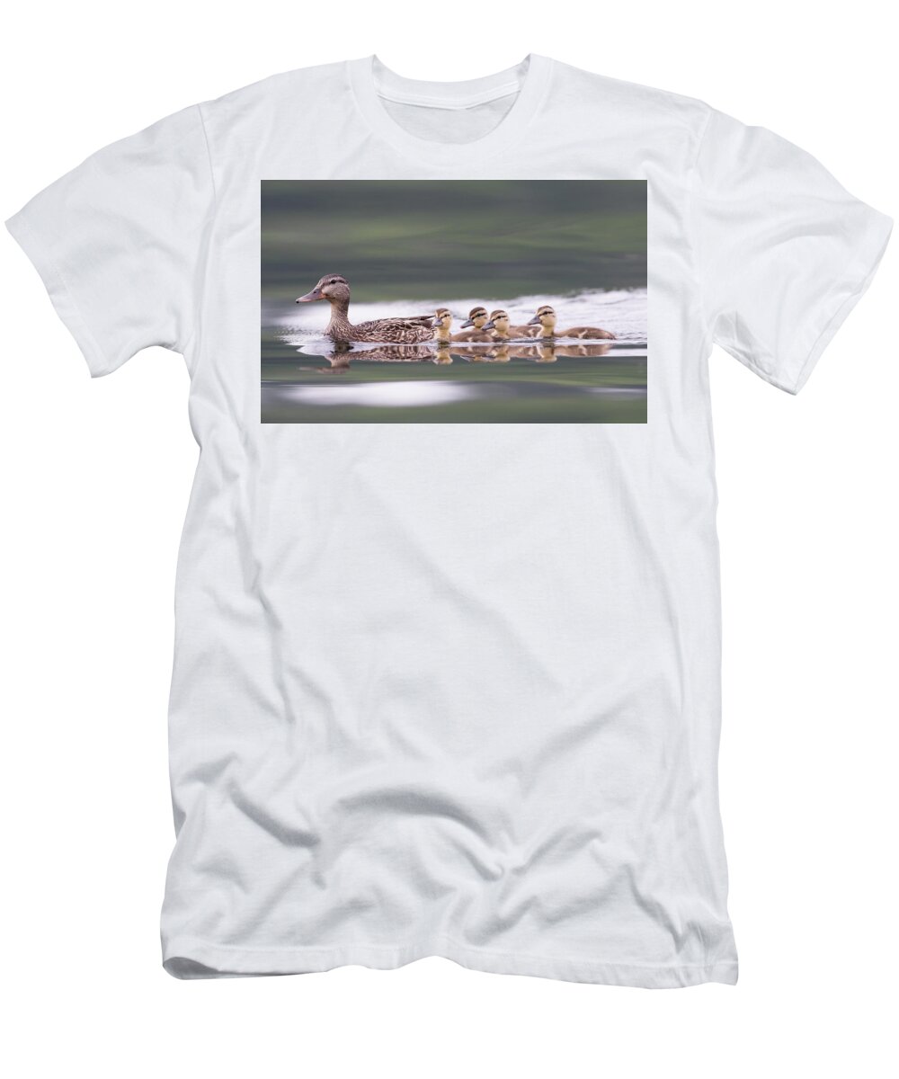 Duck T-Shirt featuring the photograph Stay in line... by Ian Sempowski