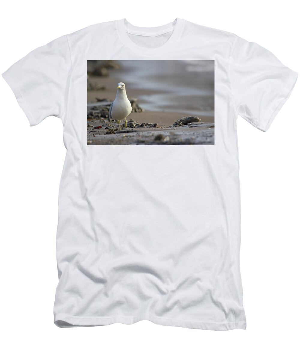 Bird T-Shirt featuring the photograph Stepping Up - Ring-billed Gull - larus delawarensis by Spencer Bush