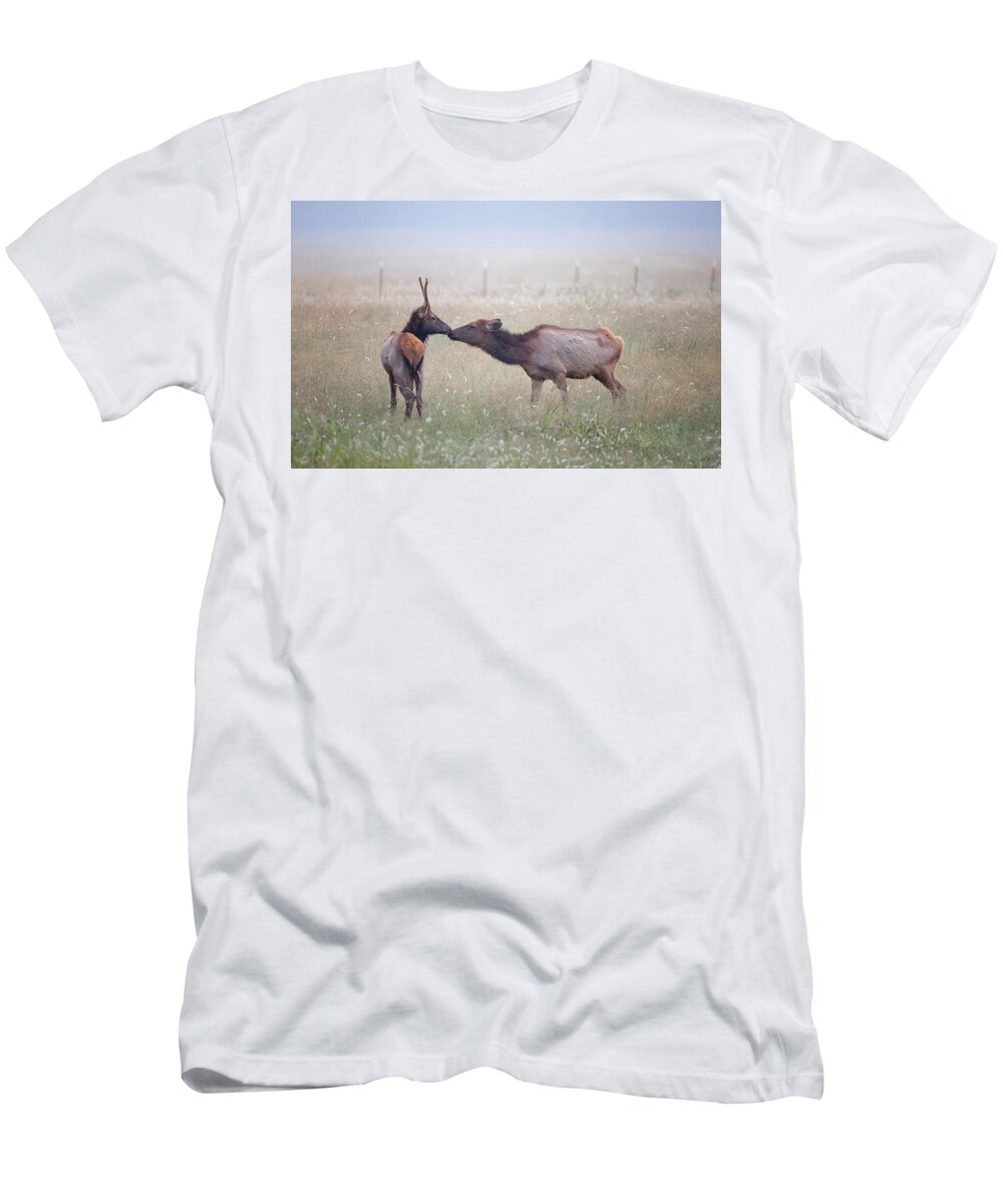 Elk T-Shirt featuring the photograph Stolen Kiss by Eilish Palmer