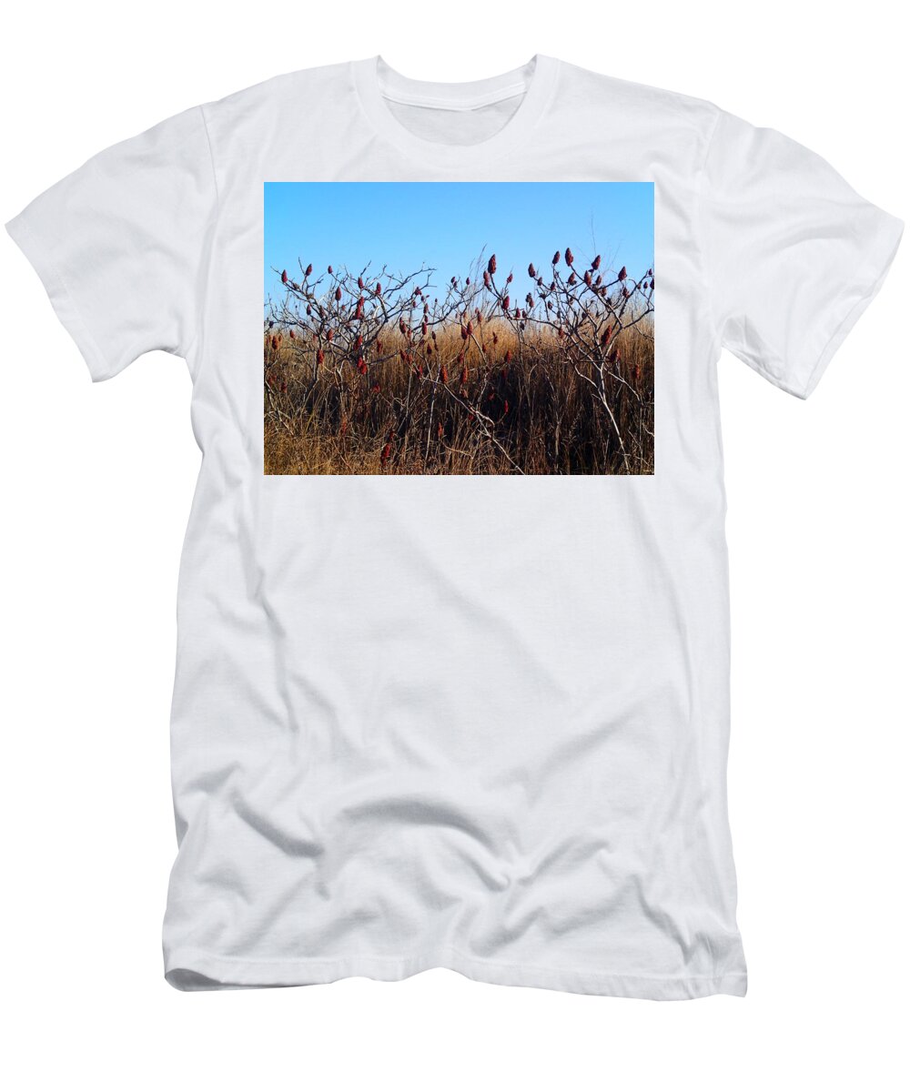 Sumac T-Shirt featuring the photograph Sumac at the Beach by Lois Lepisto