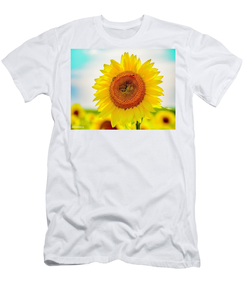 United_states T-Shirt featuring the photograph Sun Flowers by LeeAnn McLaneGoetz McLaneGoetzStudioLLCcom