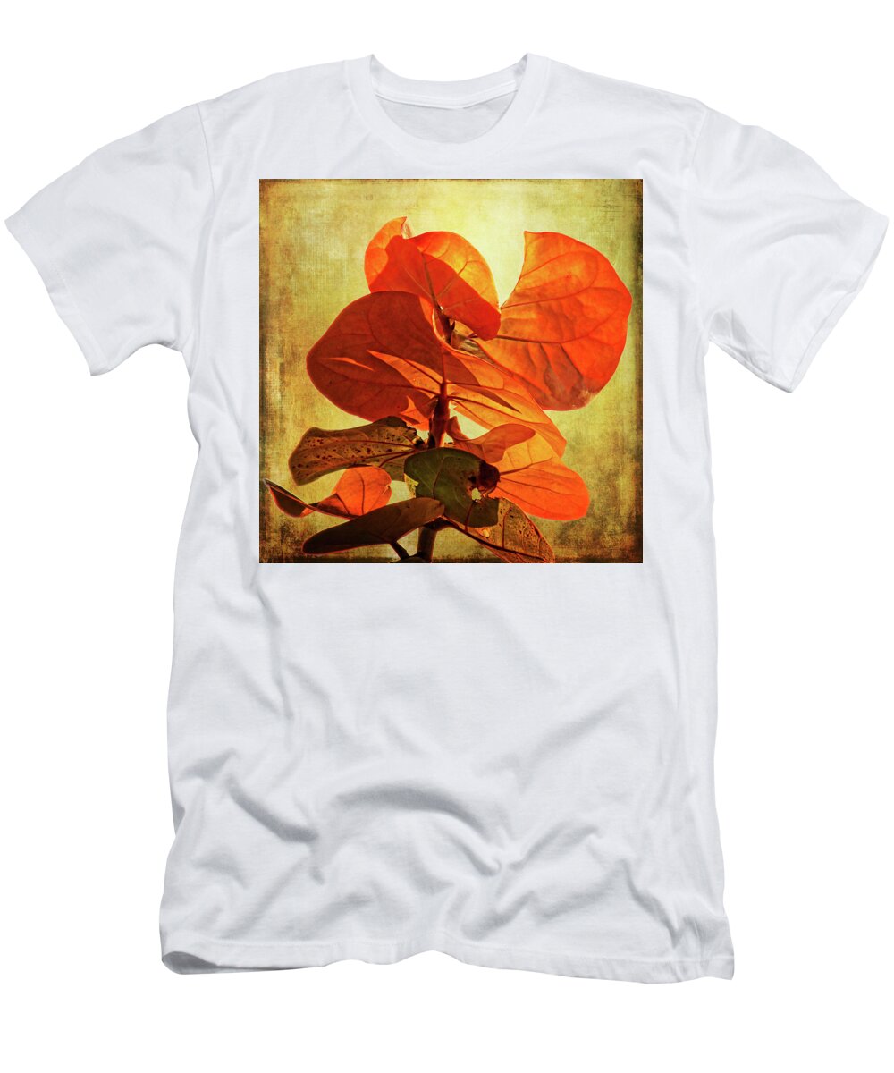 Seagrape T-Shirt featuring the photograph Sun Lit Seagrape by HH Photography of Florida