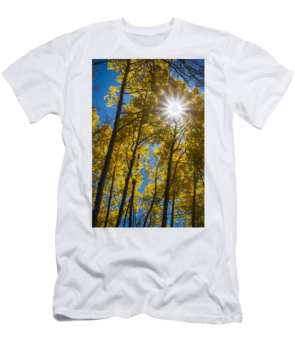 Scenics T-Shirt featuring the photograph Sunburst in Golden Aspen by Mary Lee Dereske