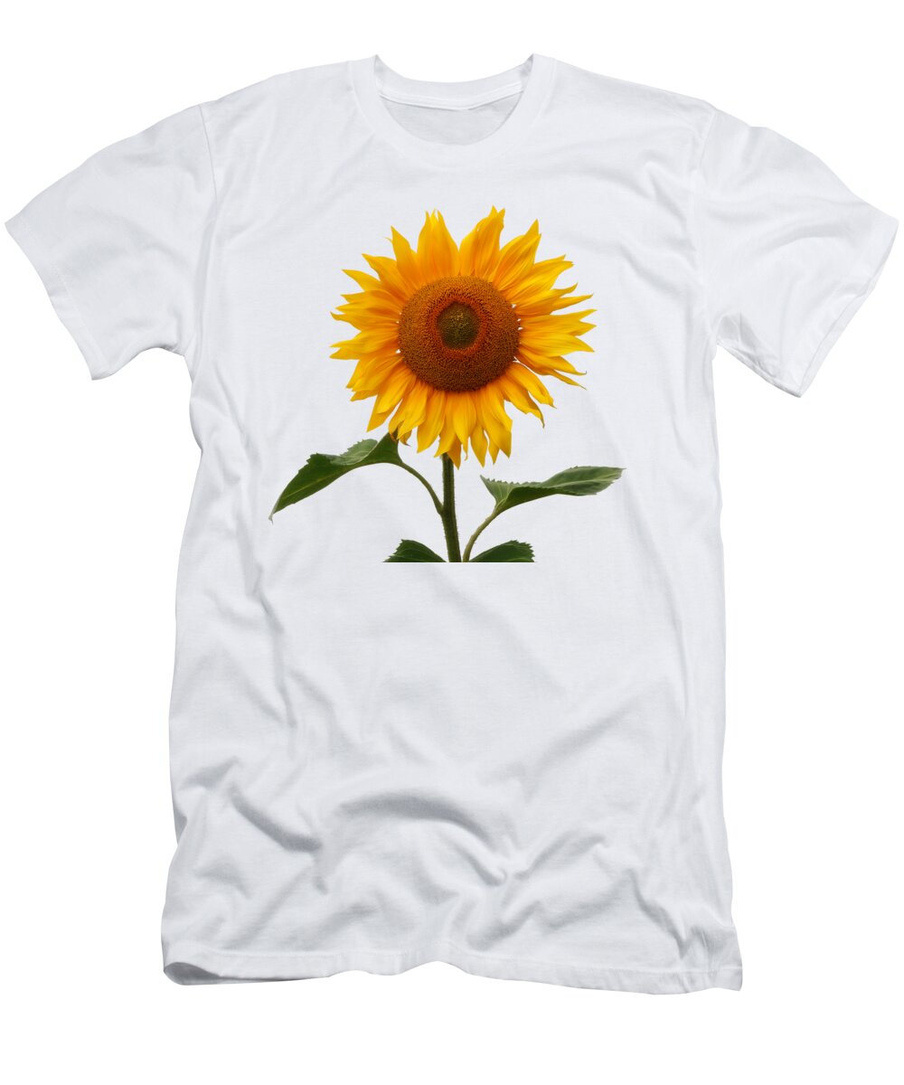 Sunflowers Mens Cotton Blend T-Shirt 