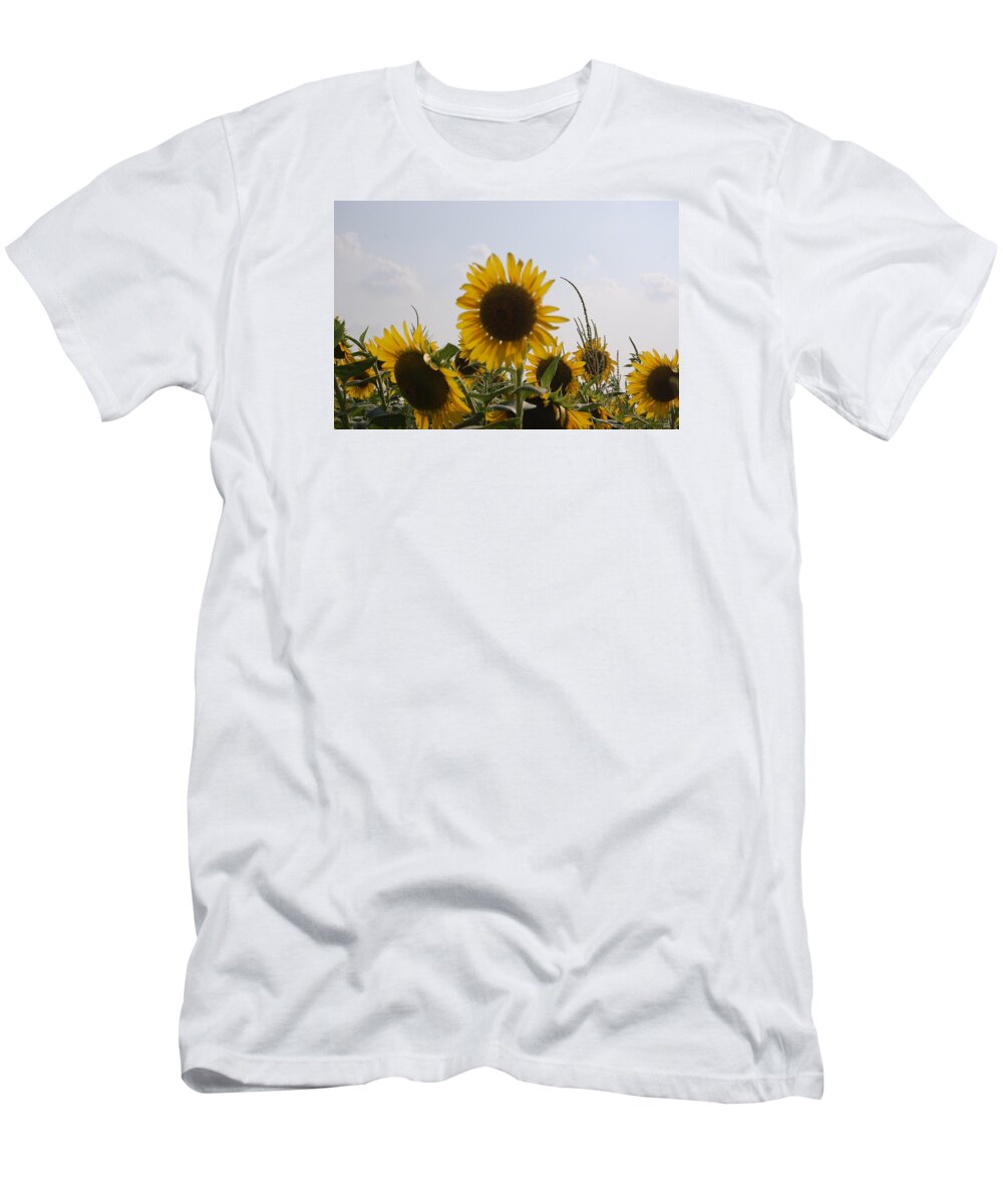 Sun Flower T-Shirt featuring the photograph Sunflower by Patty Vicknair