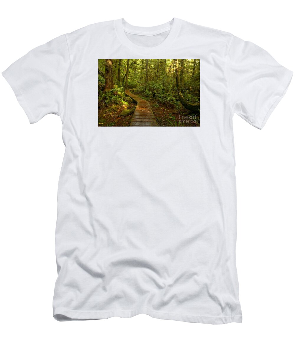 Willowbrae T-Shirt featuring the photograph Sunlight In The Rainforest by Adam Jewell