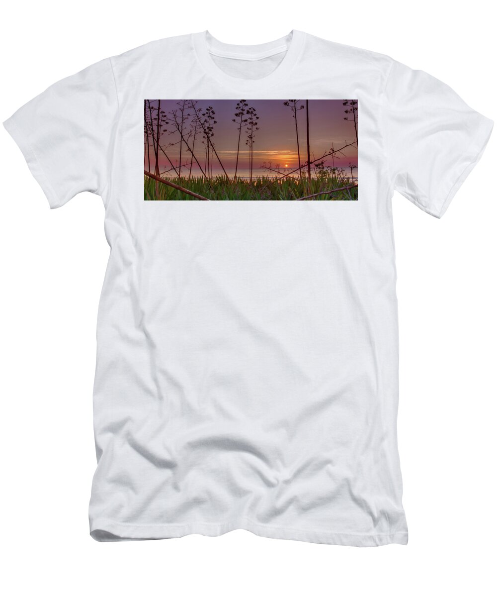 Sunrise T-Shirt featuring the photograph Sunrise Palm Blooms by Dillon Kalkhurst