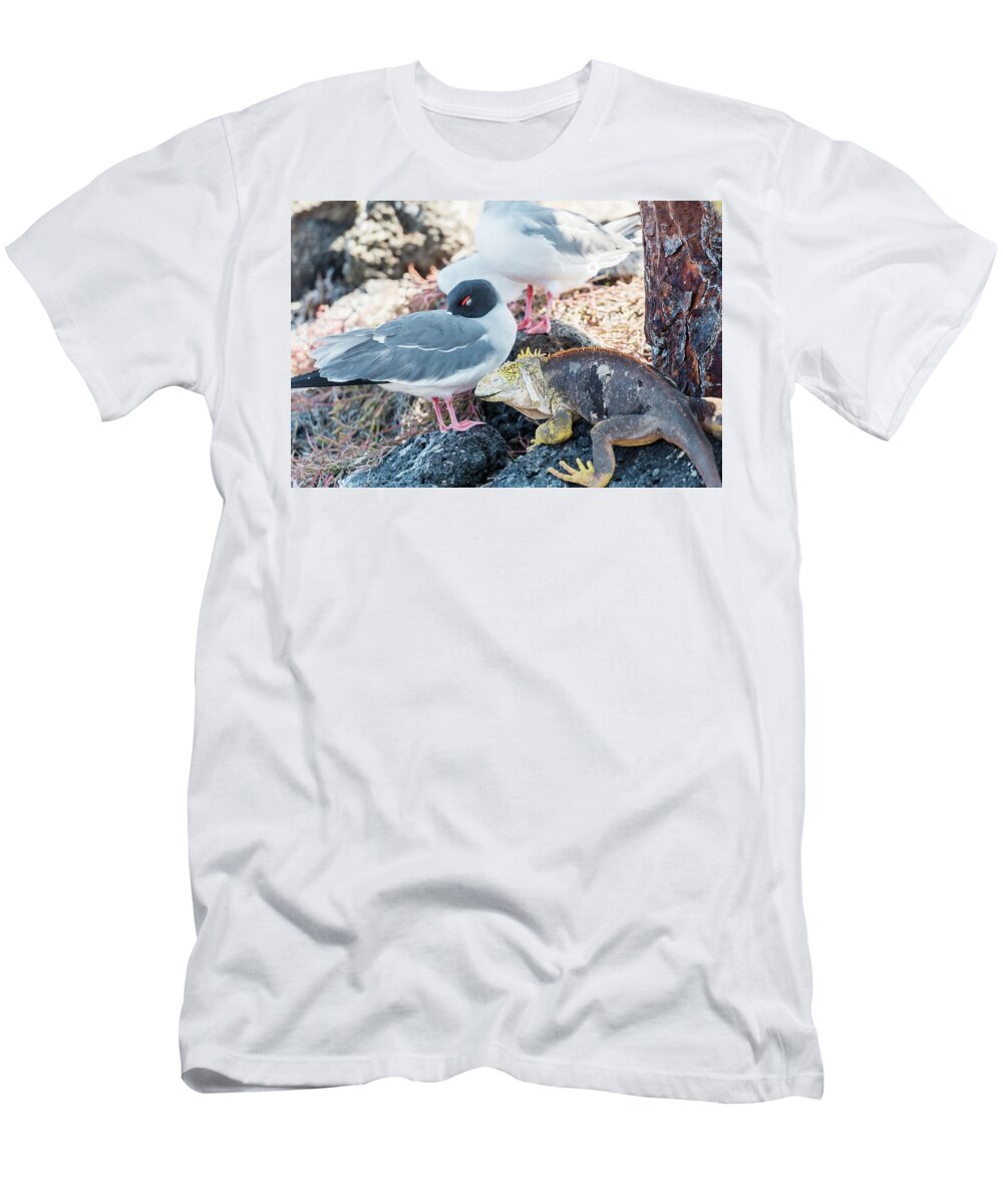 Sea Bird T-Shirt featuring the photograph Swallow tailed gull and iguana on Galapagos Islands by Marek Poplawski