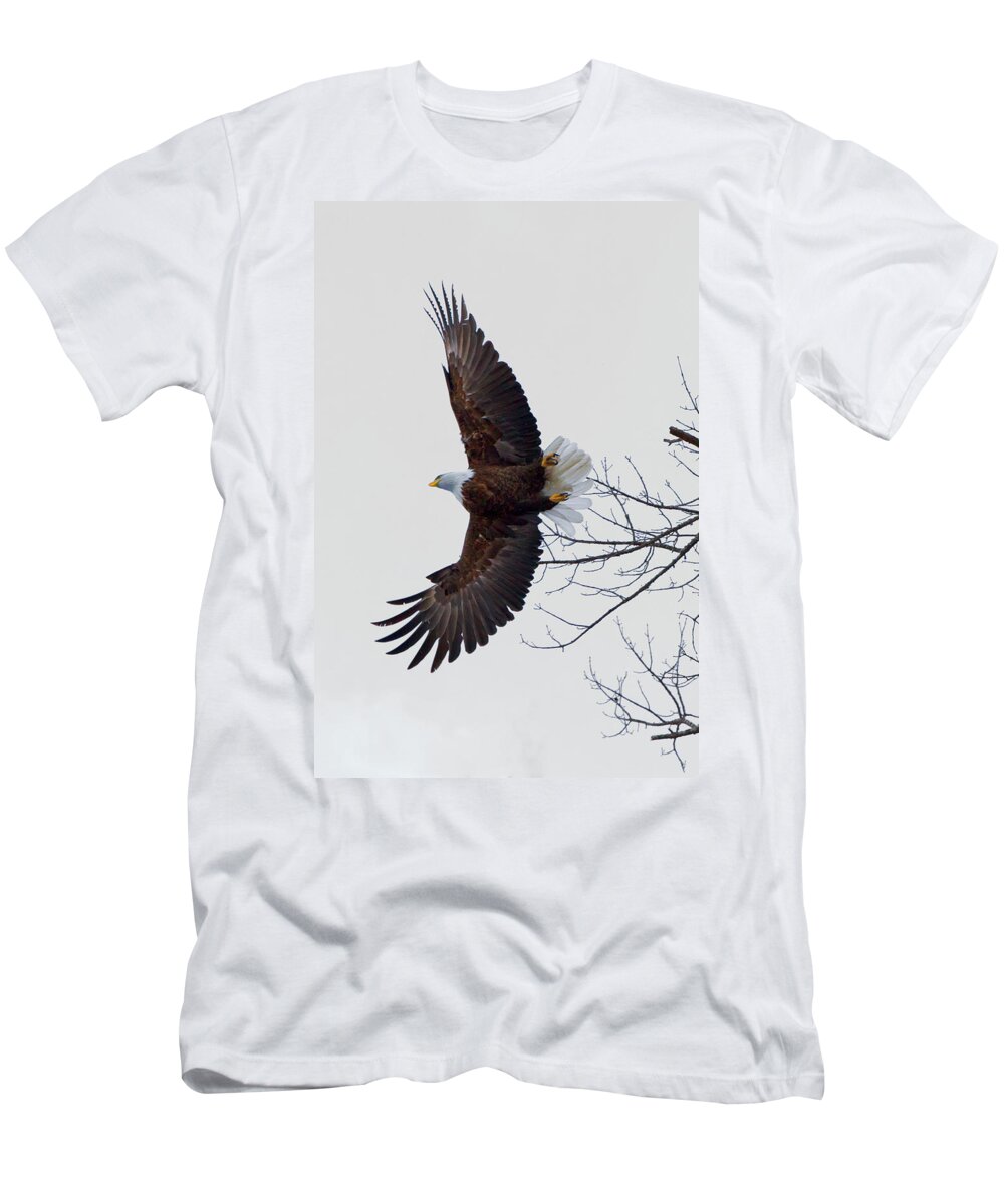 Eagle T-Shirt featuring the photograph Take Off by Nancy Dunivin