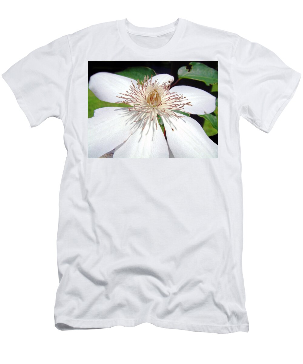 Clematis T-Shirt featuring the photograph Tattered and Torn by RC DeWinter