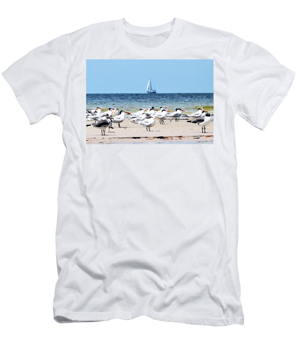 Terns T-Shirt featuring the photograph Terns and Sailors by Mary Ann Artz