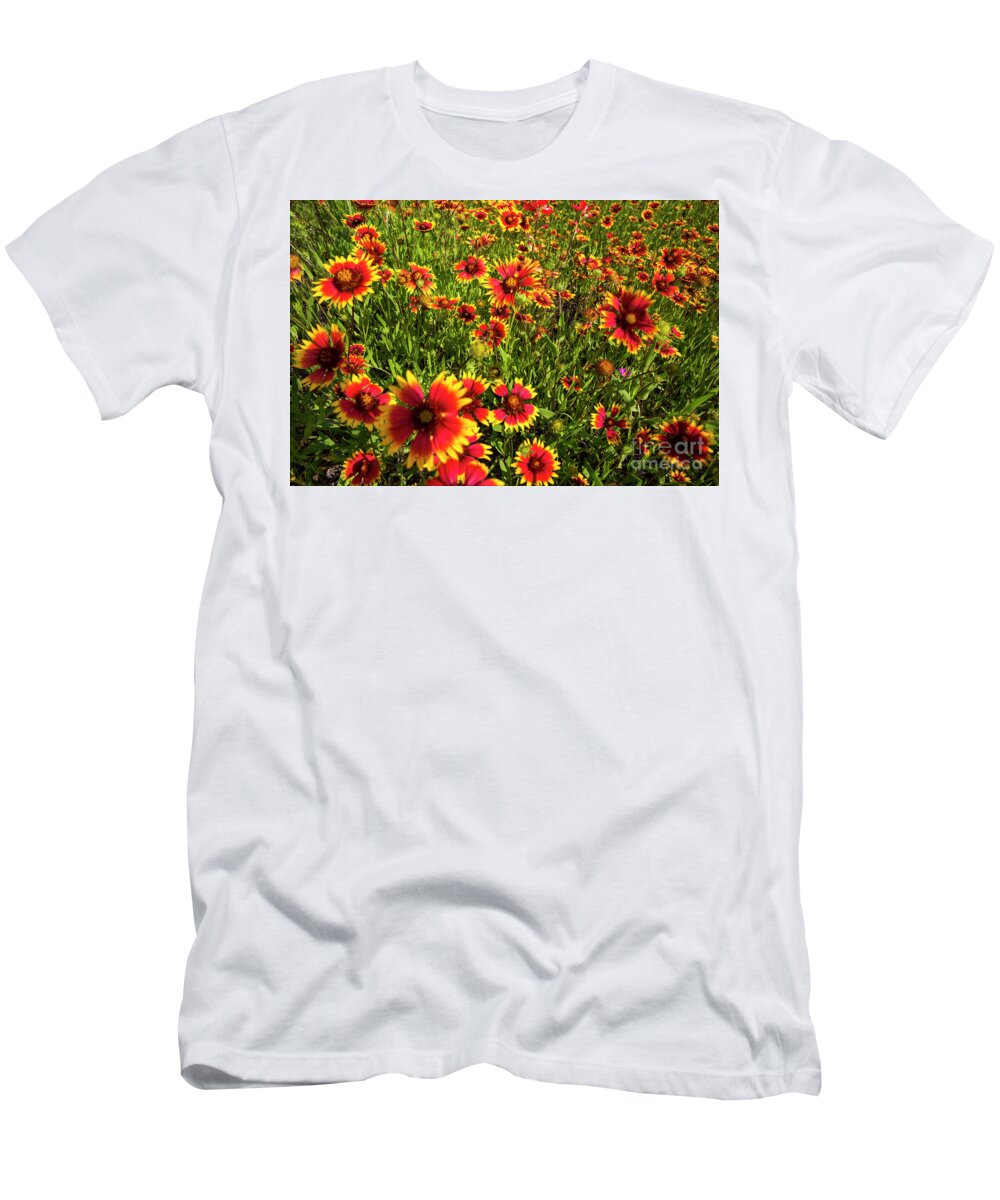 Close Up T-Shirt featuring the photograph Texas Hill Country wildflowers - Indian Blanket Firewheels, Lake by Dan Herron