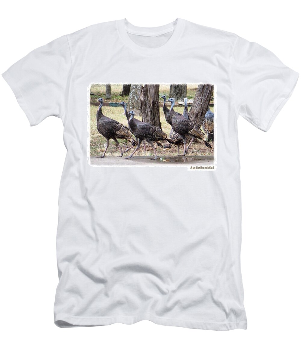 Keepaustinweird T-Shirt featuring the photograph #thanksgiving Came Early To My by Austin Tuxedo Cat