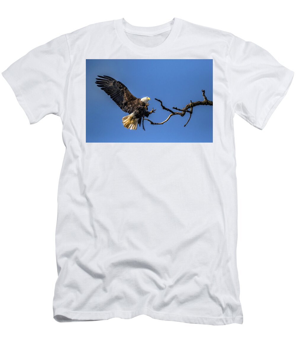 American Bald Eagle T-Shirt featuring the photograph The Approach by Ray Congrove