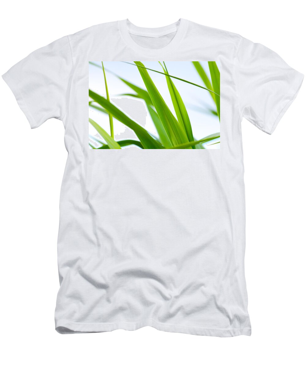 Steven Green Photography T-Shirt featuring the photograph The Cane by SR Green