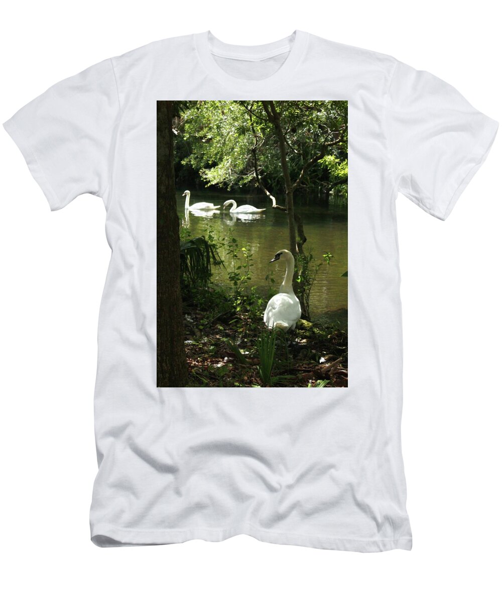Florida Swans Birds T-Shirt featuring the photograph The Guard Swan by Barbara Smith-Baker