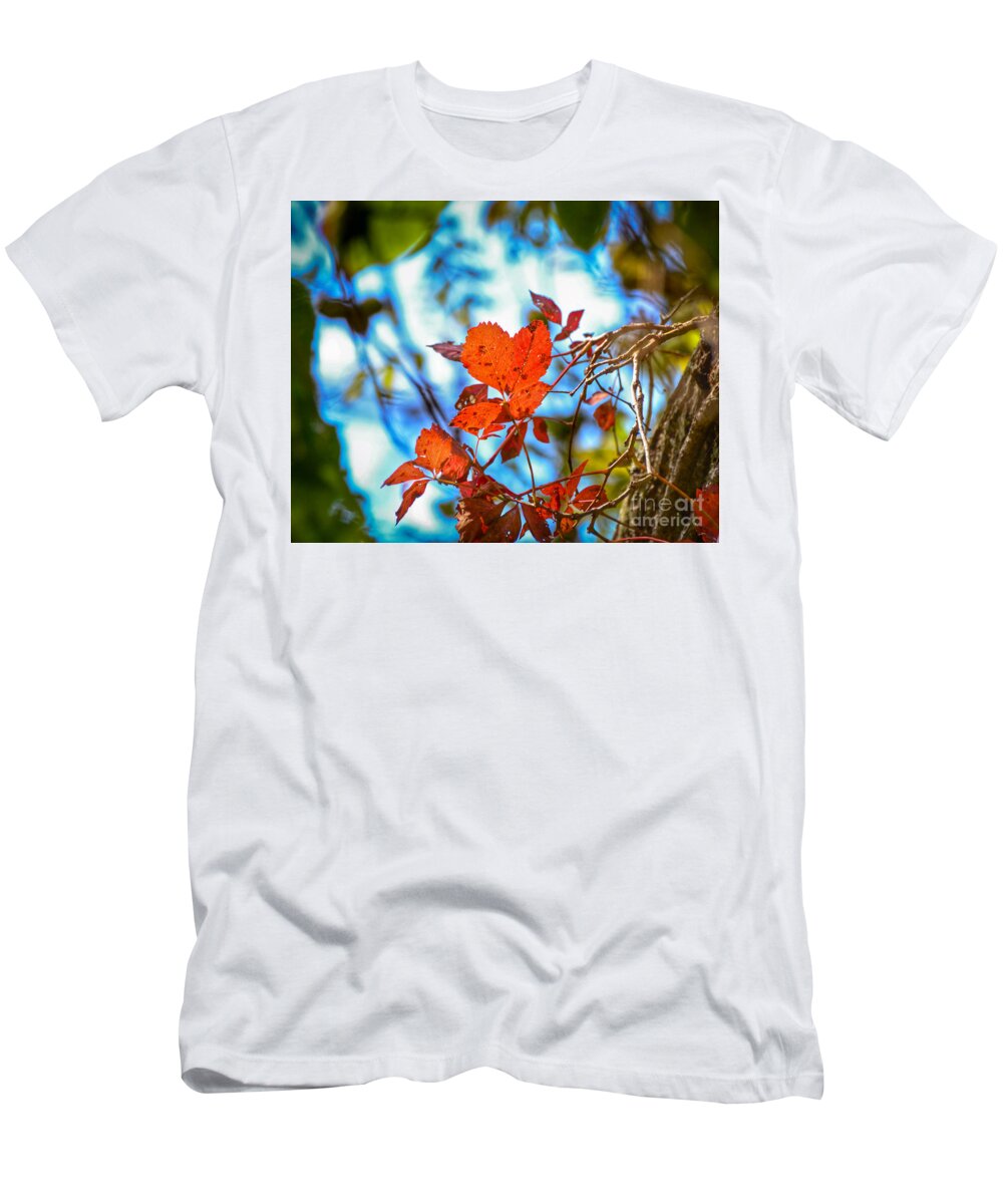Autumn T-Shirt featuring the photograph The Heart of Autumn by Kerri Farley
