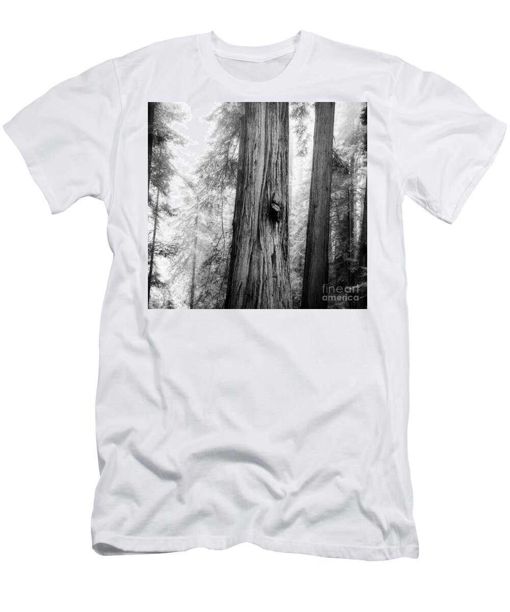 Redwood T-Shirt featuring the photograph The Middle by Mark Alder