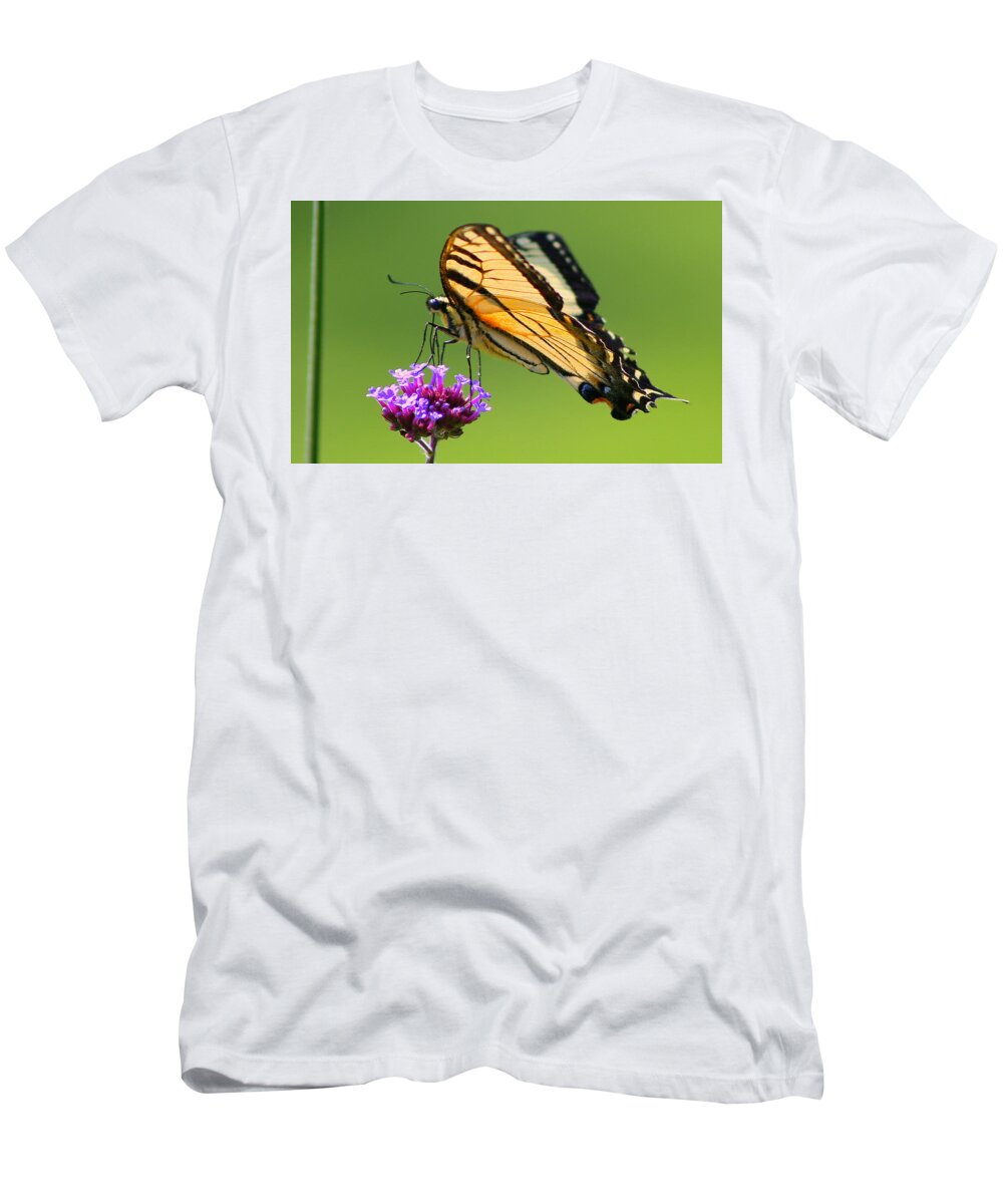 Monarch Butterfly T-Shirt featuring the photograph The Monarch by Imagery-at- Work