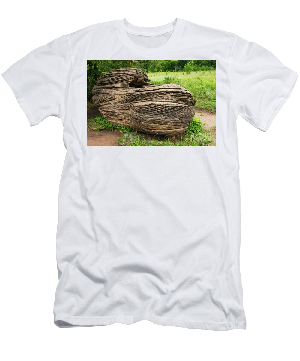 Mushroom Rock State Park T-Shirt featuring the photograph The Shoe by Bob Phillips