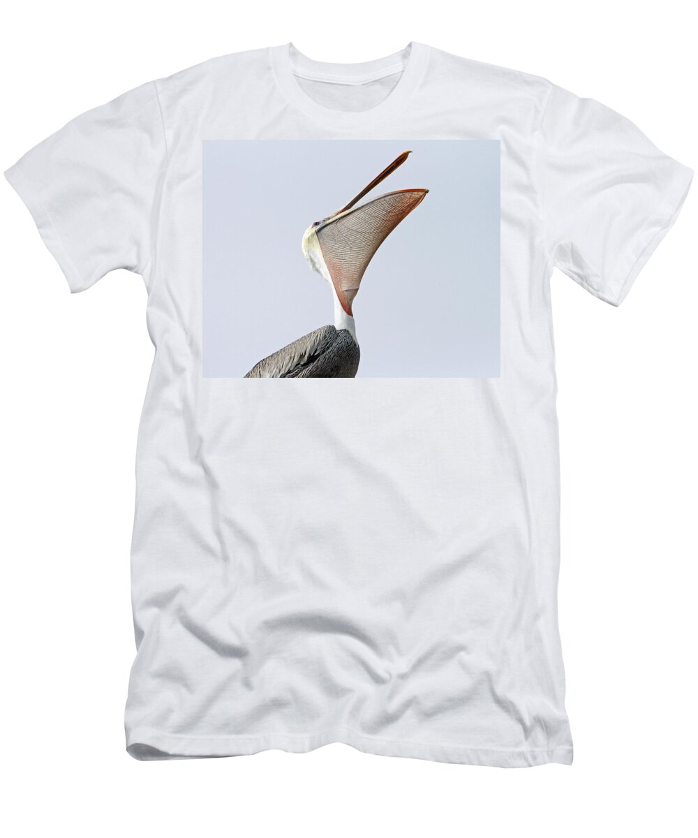 Pelican T-Shirt featuring the photograph The Stretch by Shoal Hollingsworth