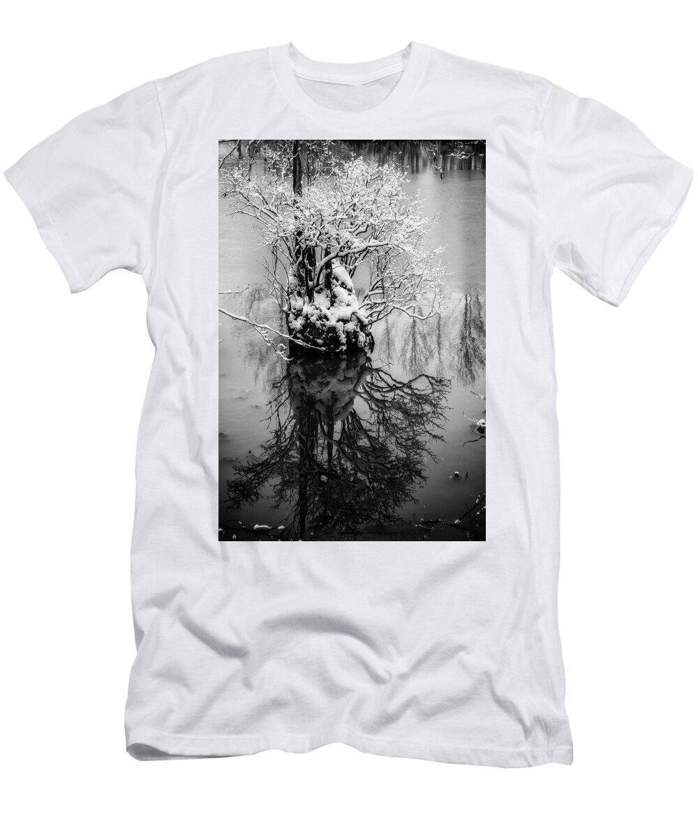 Stump T-Shirt featuring the photograph The Stump by Monte Arnold