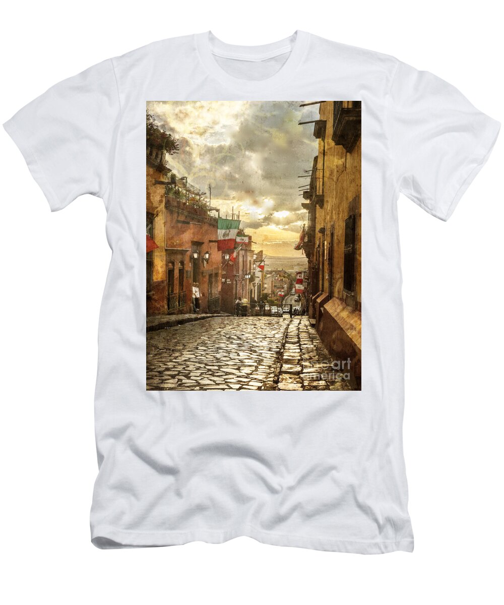 Cobble Stone Street T-Shirt featuring the photograph The View Looking Down by Barry Weiss